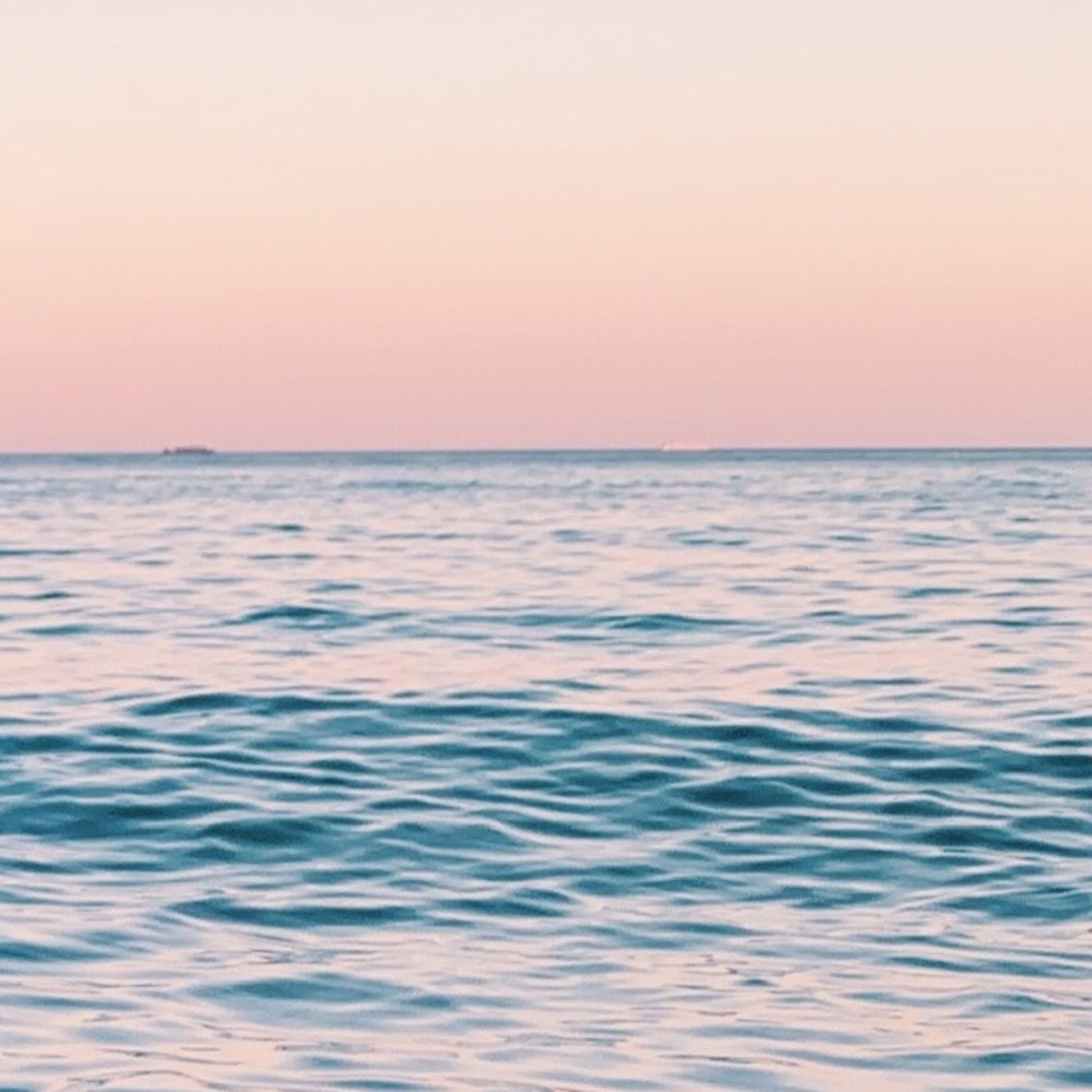 Meet your Posher, Sophia